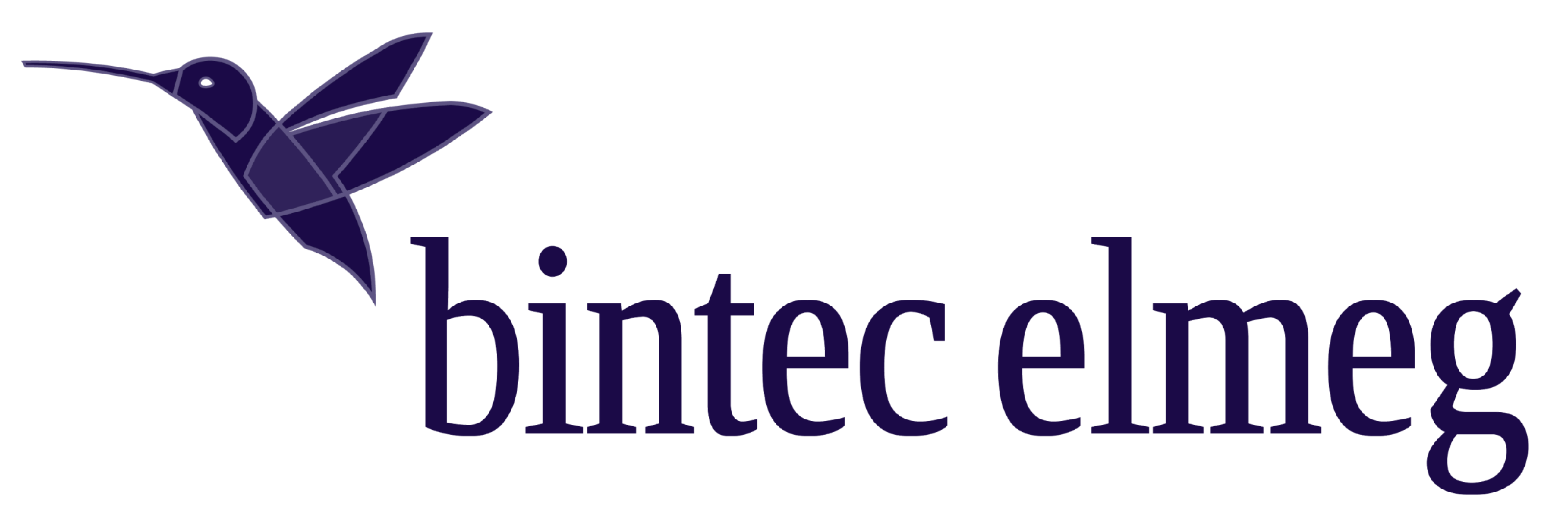 Bintec Elmeg
